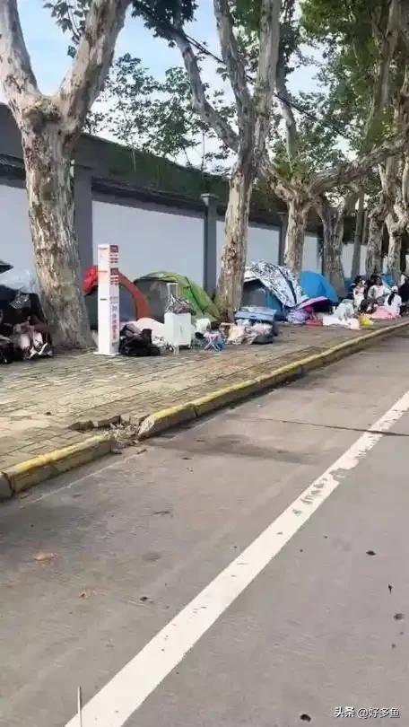 酒店选帐篷”：一场年轻态的旅行革命开元棋