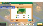 罗森丘露营地物语开元棋牌app开